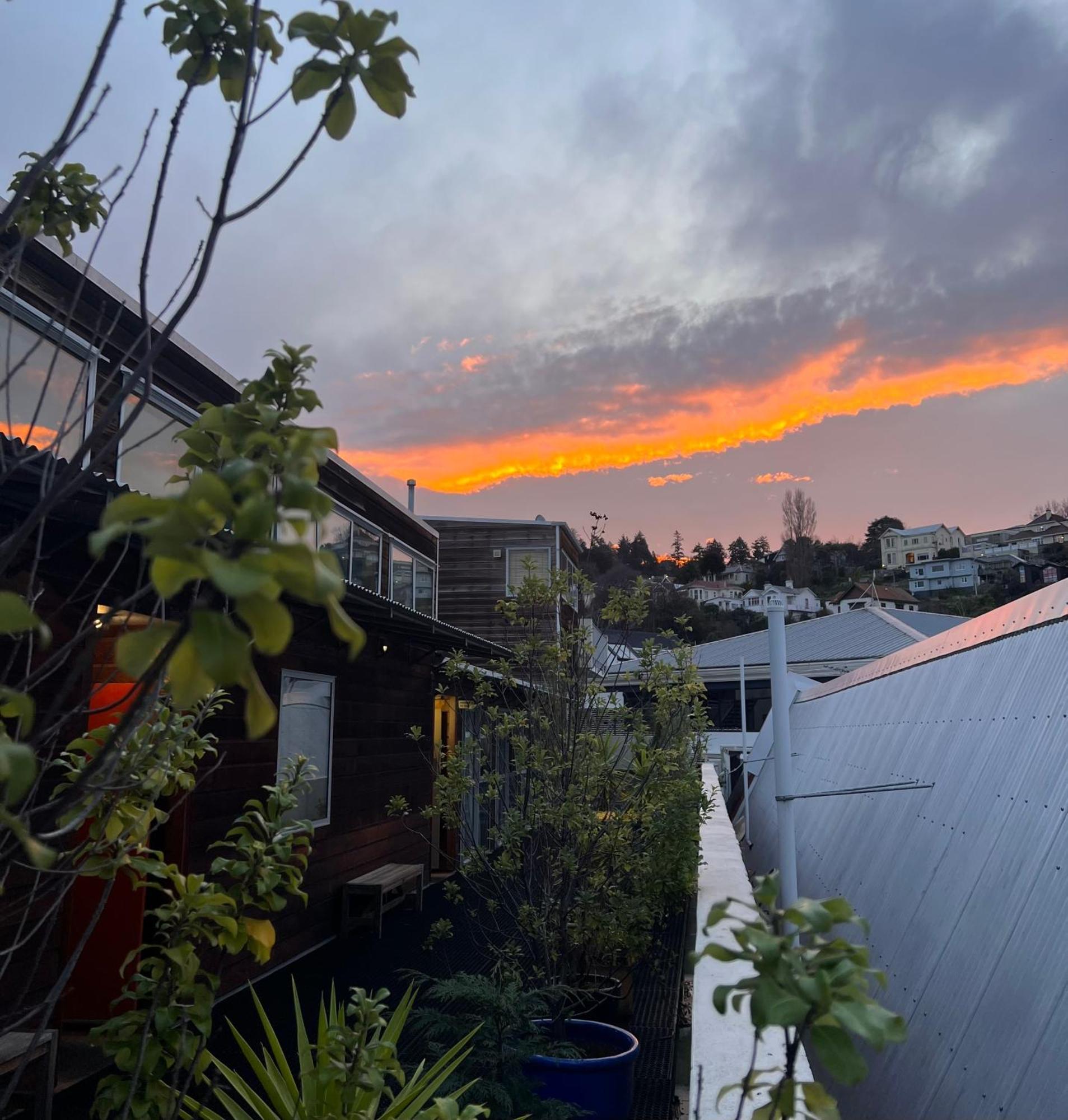 On Top Backpackers Dunedin Exterior foto